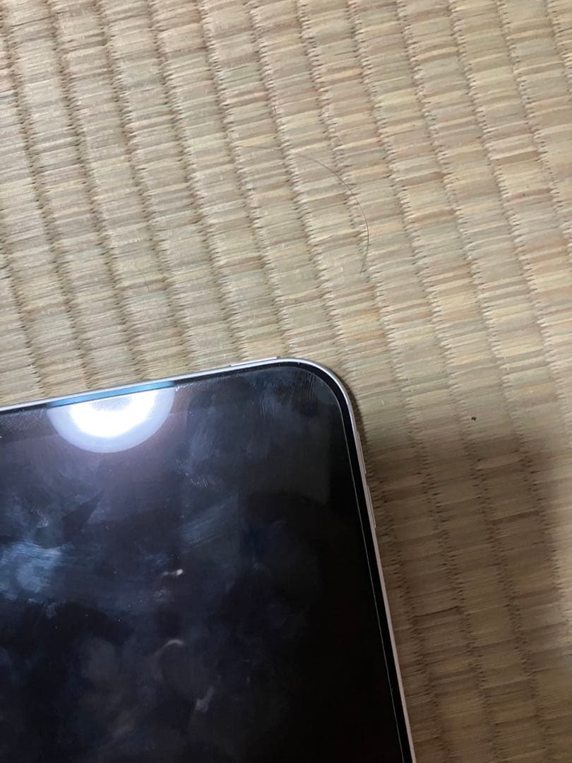Apple iPad Pro M4 11インチ バッテリー 100％