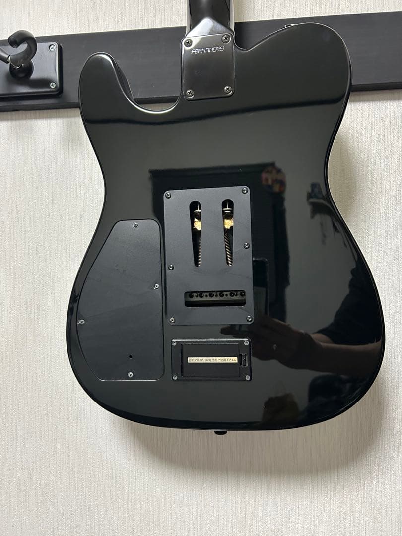 ギター FERNANDES TEJ-95S