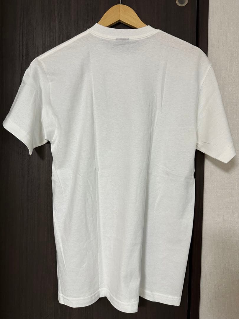 激レア新品未使用 STUSSY×APPLEBUM ステューシー stussy