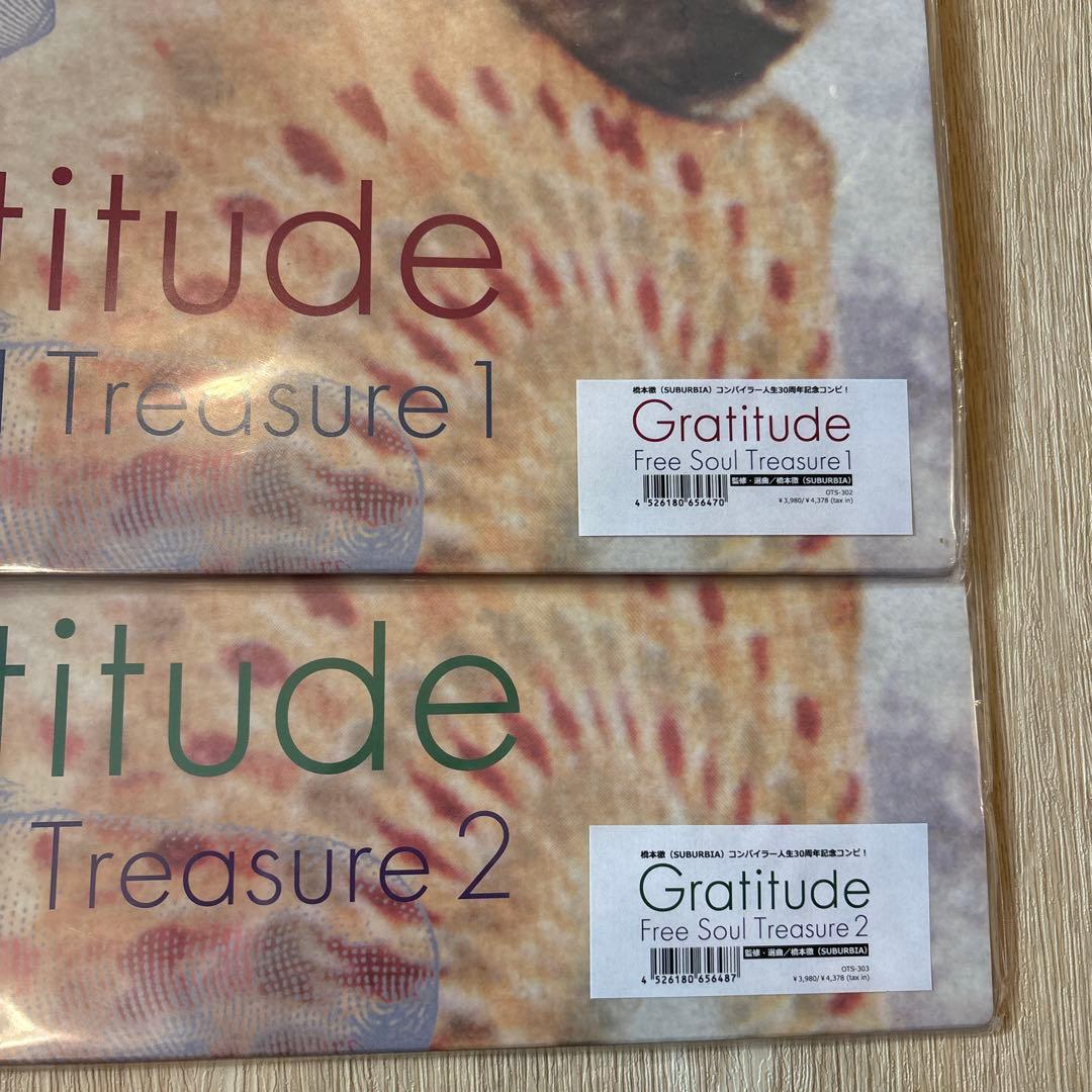 Gratitude / Free Soul Treasure ＜2枚セット＞