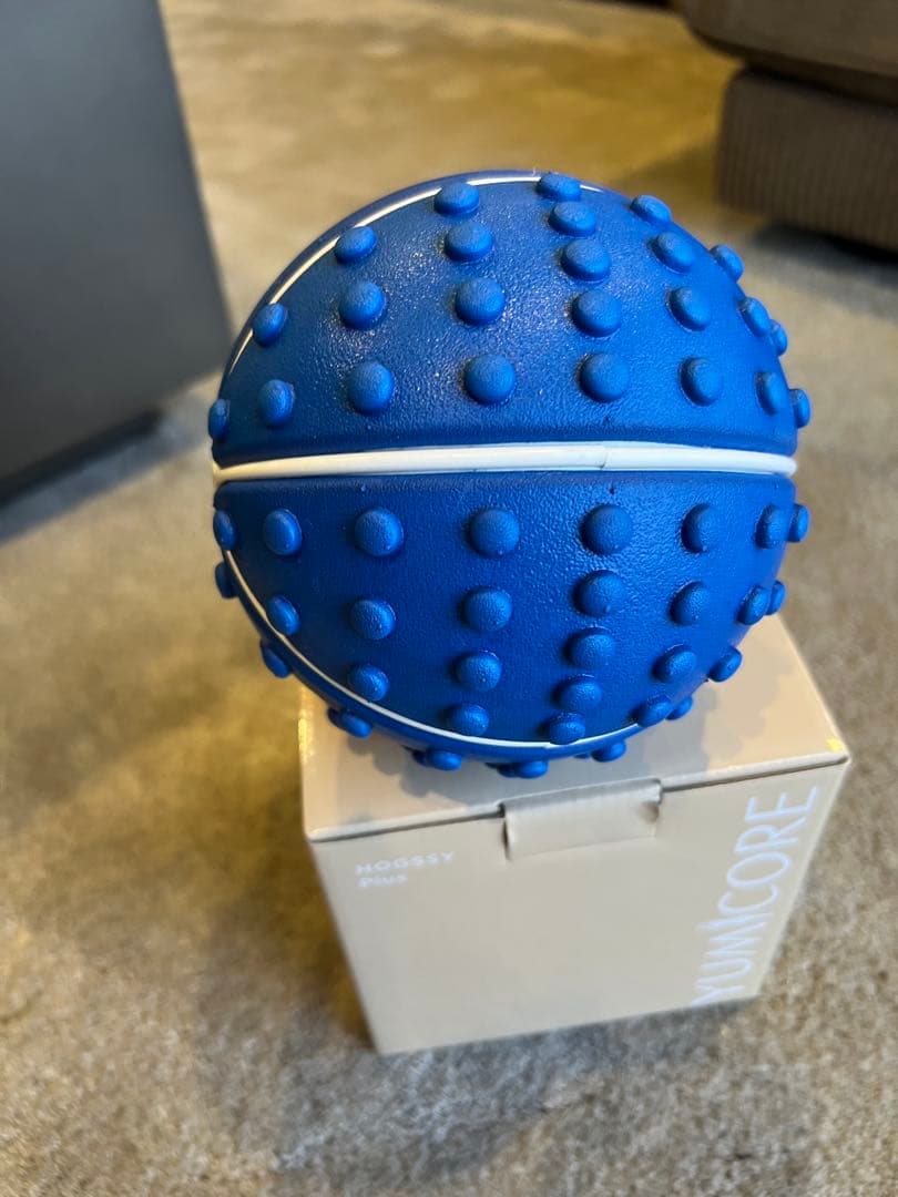 【極美品】YumiCoreBody Hogesy Plus ホグッシープラス