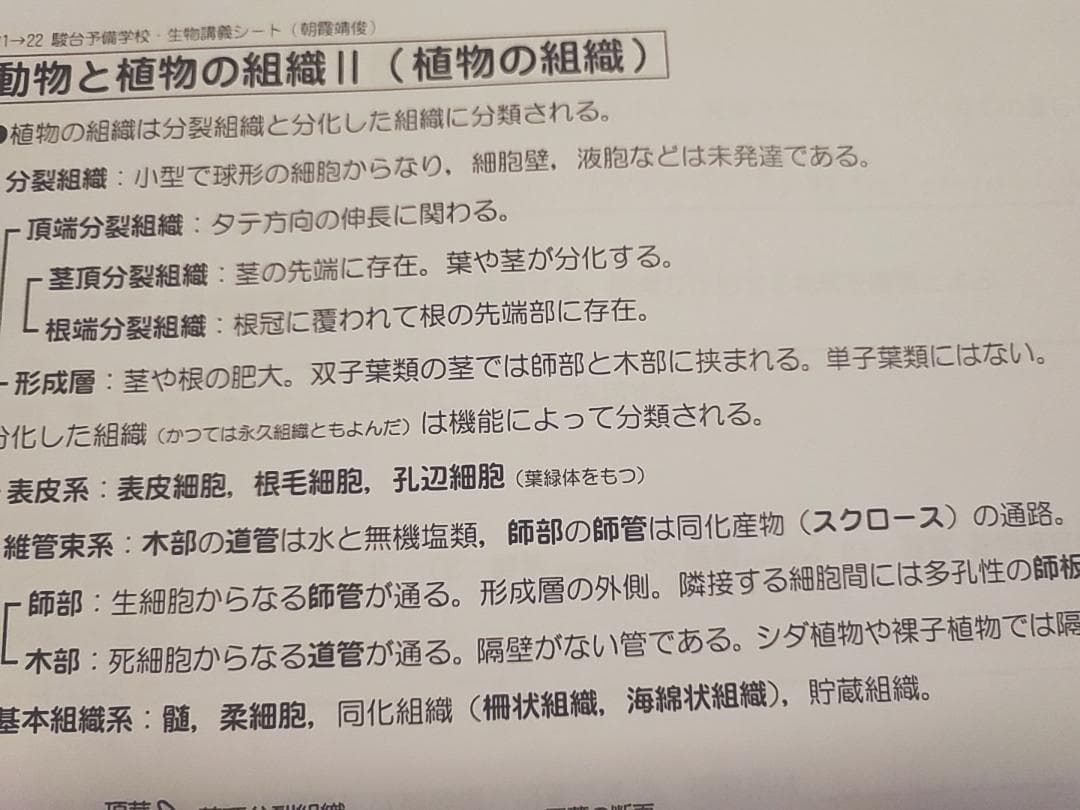 駿台の最新版の朝霞先生による生物講義シート前後期　市谷　鉄緑会　河合塾