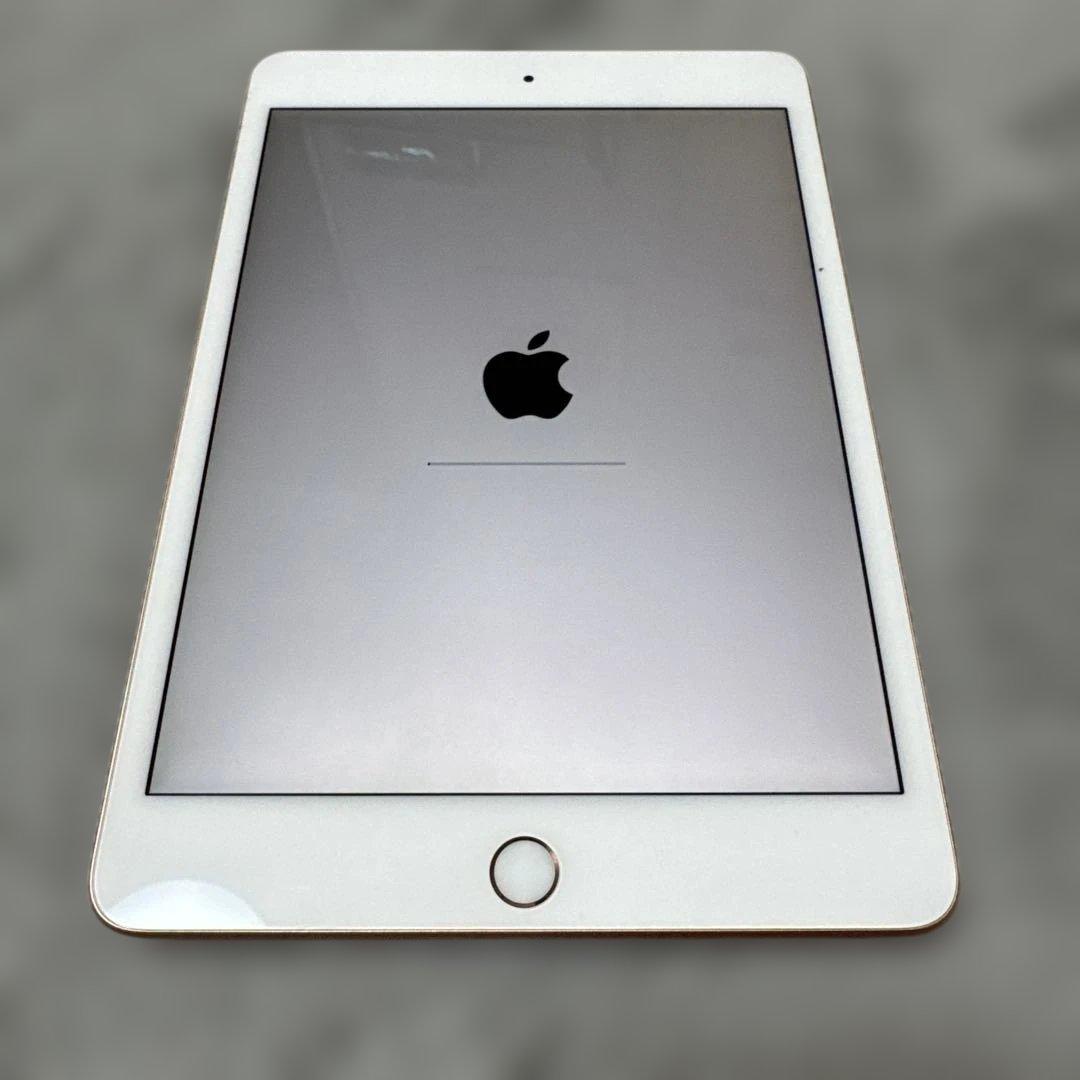 iPad mini 5 64GB Wi-Fi+Cellular 箱あり 美品