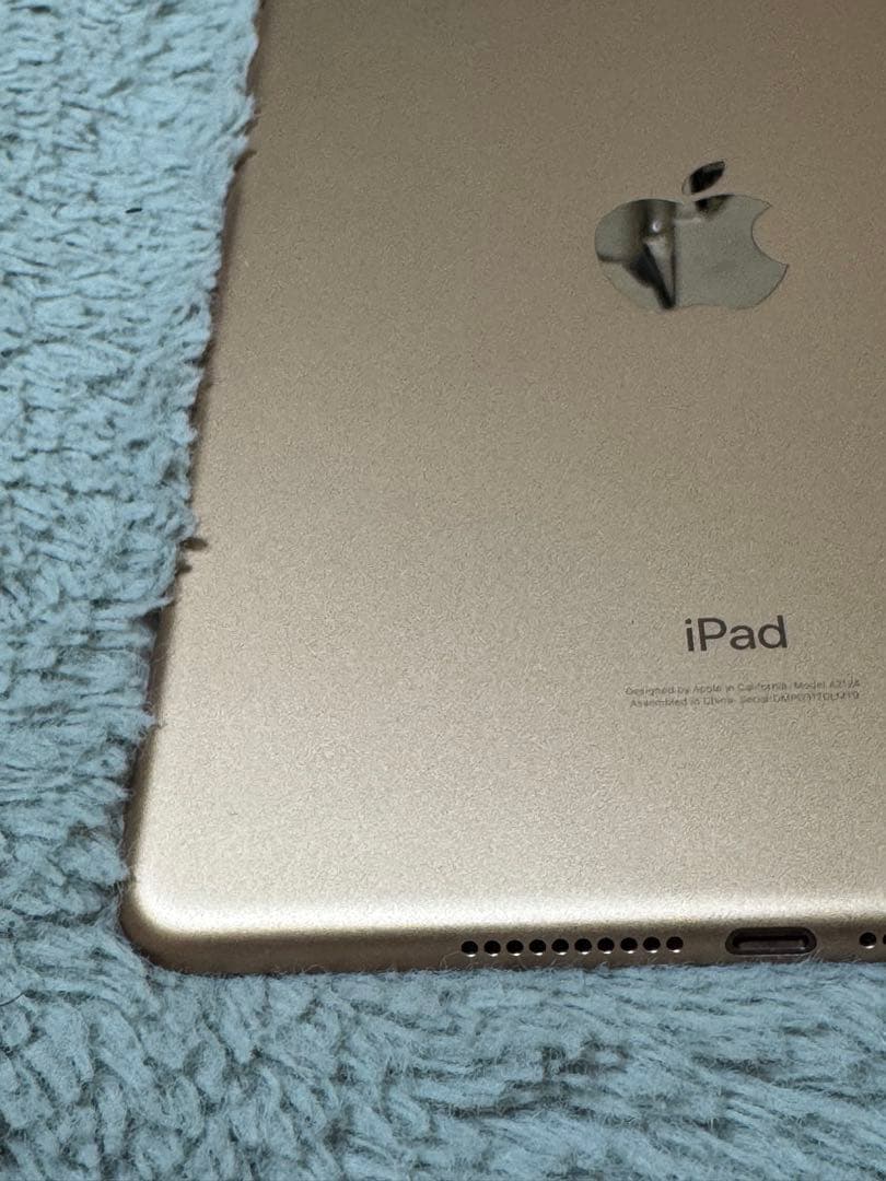 iPad mini 5 64GB Wi-Fi+Cellular 箱あり 美品