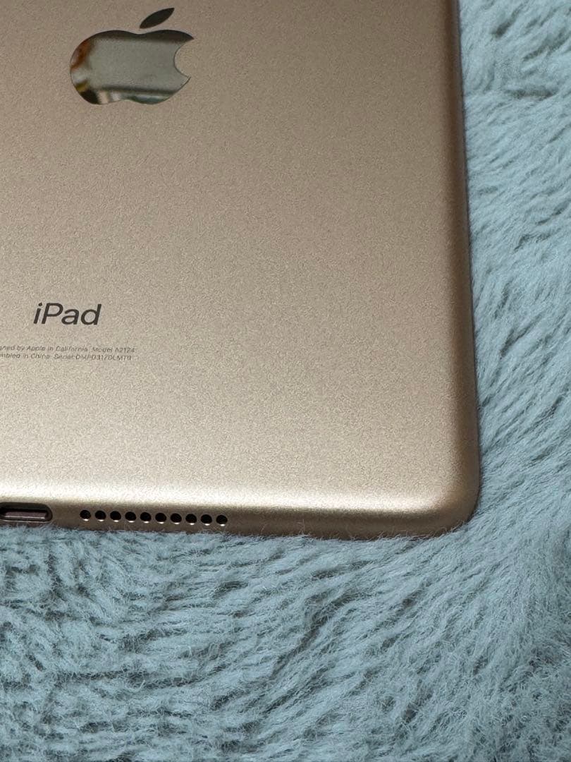 iPad mini 5 64GB Wi-Fi+Cellular 箱あり 美品