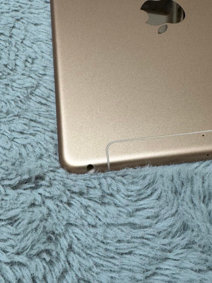 iPad mini 5 64GB Wi-Fi+Cellular 箱あり 美品