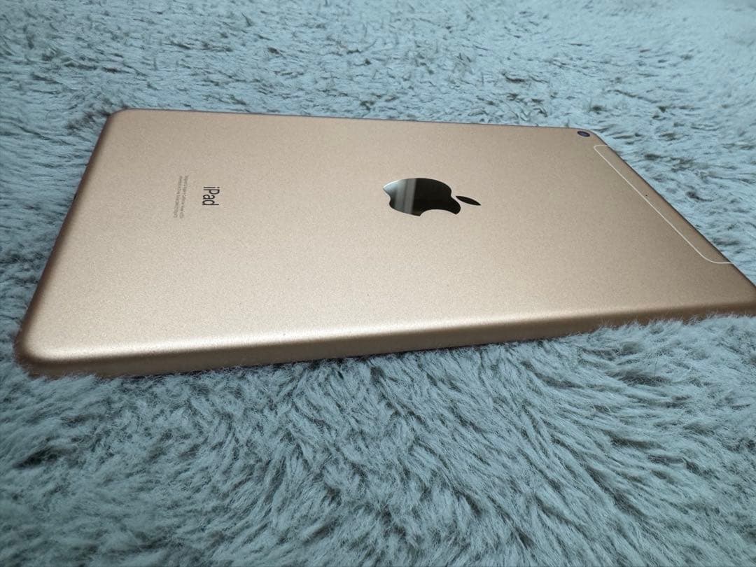 iPad mini 5 64GB Wi-Fi+Cellular 箱あり 美品
