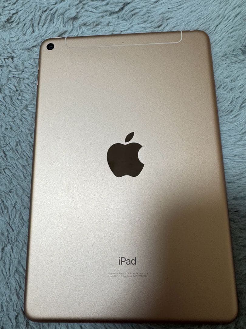iPad mini 5 64GB Wi-Fi+Cellular 箱あり 美品