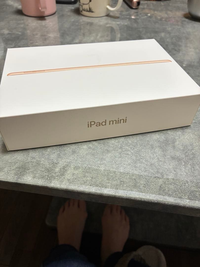 iPad mini 5 64GB Wi-Fi+Cellular 箱あり 美品