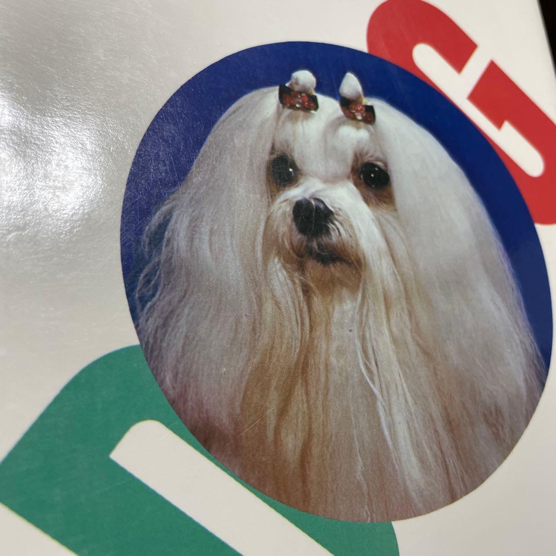 希少中古本　マルチーズ （犬種別シリーズ） / 愛犬の友編集部 / 誠文堂新光社