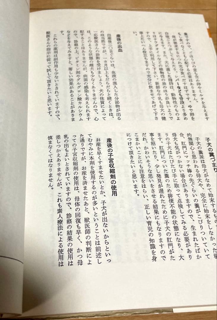 希少中古本　マルチーズ （犬種別シリーズ） / 愛犬の友編集部 / 誠文堂新光社
