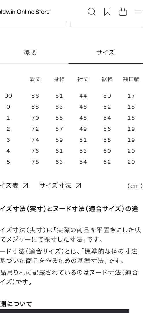 Goldwin ワッフルライトTシャツ(直営店購入品)