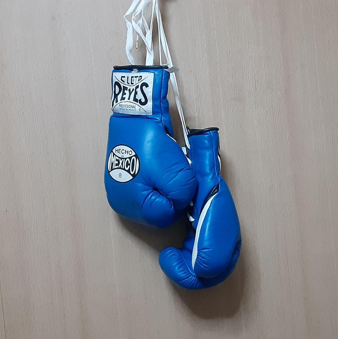 ヨコ★希少！Cleto Reyes ボクシンググローブ8oz レイジェス