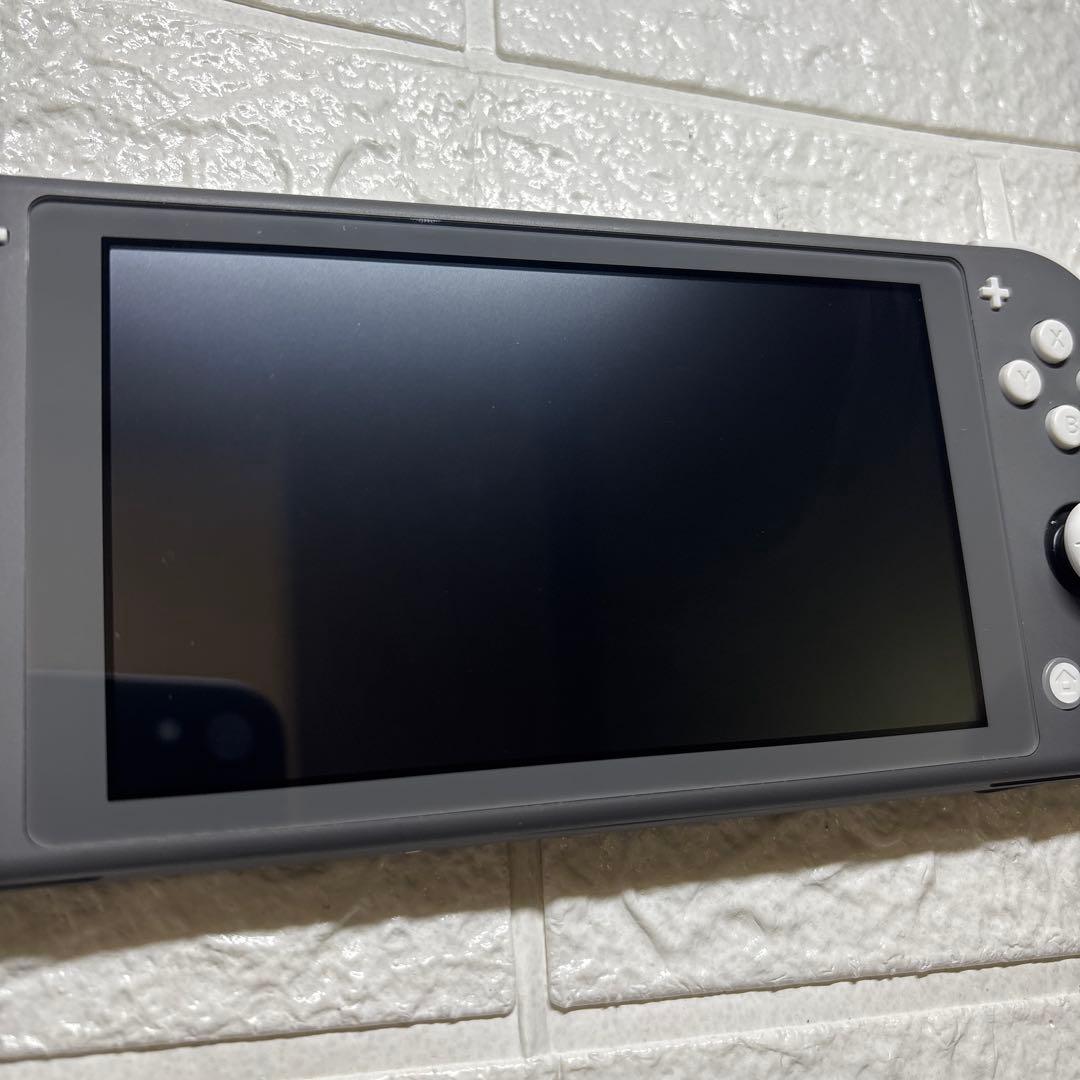 Nintendo Switch Lite ニンテンドースイッチライト グレー
