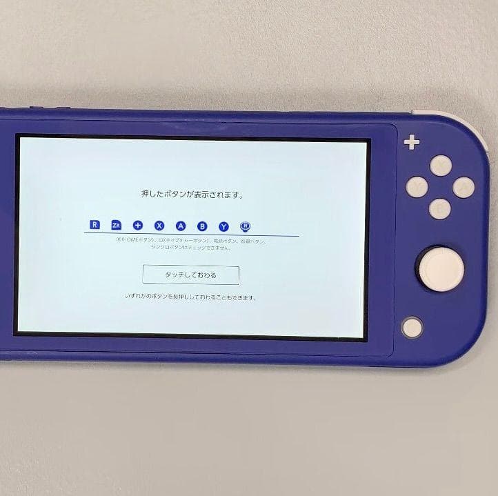 Nintendo Switch Lite 本体 動作品