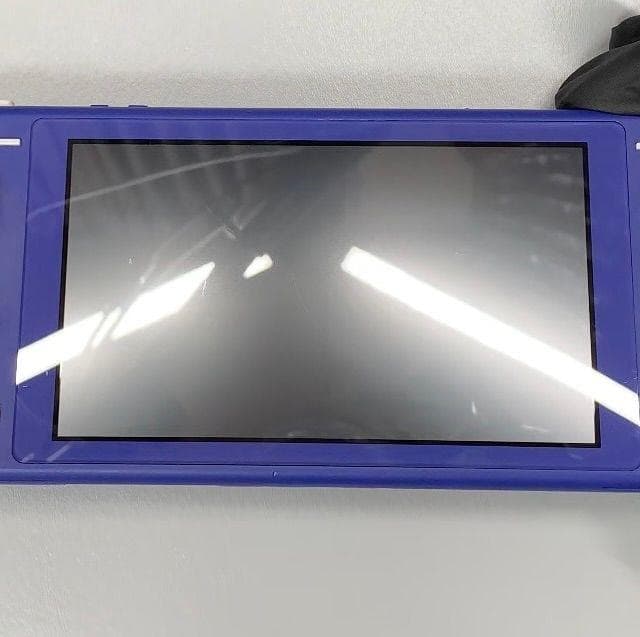 Nintendo Switch Lite 本体 動作品