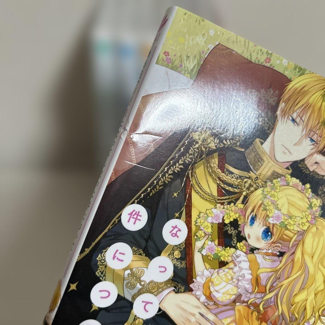 ある日、お姫様になってしまった件について 1～7巻セット