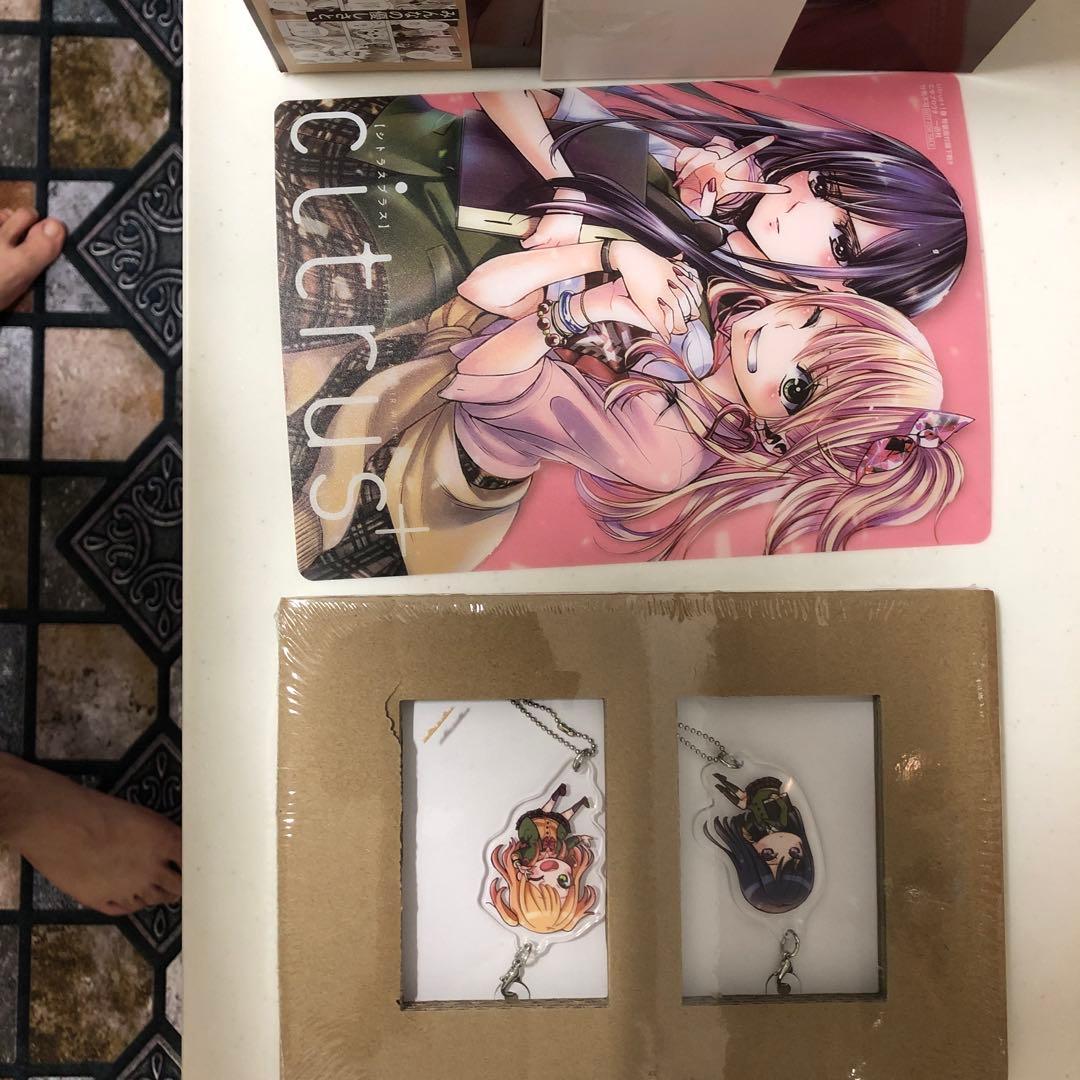 シトラス　citrus 大量セット！　特典付き　人気