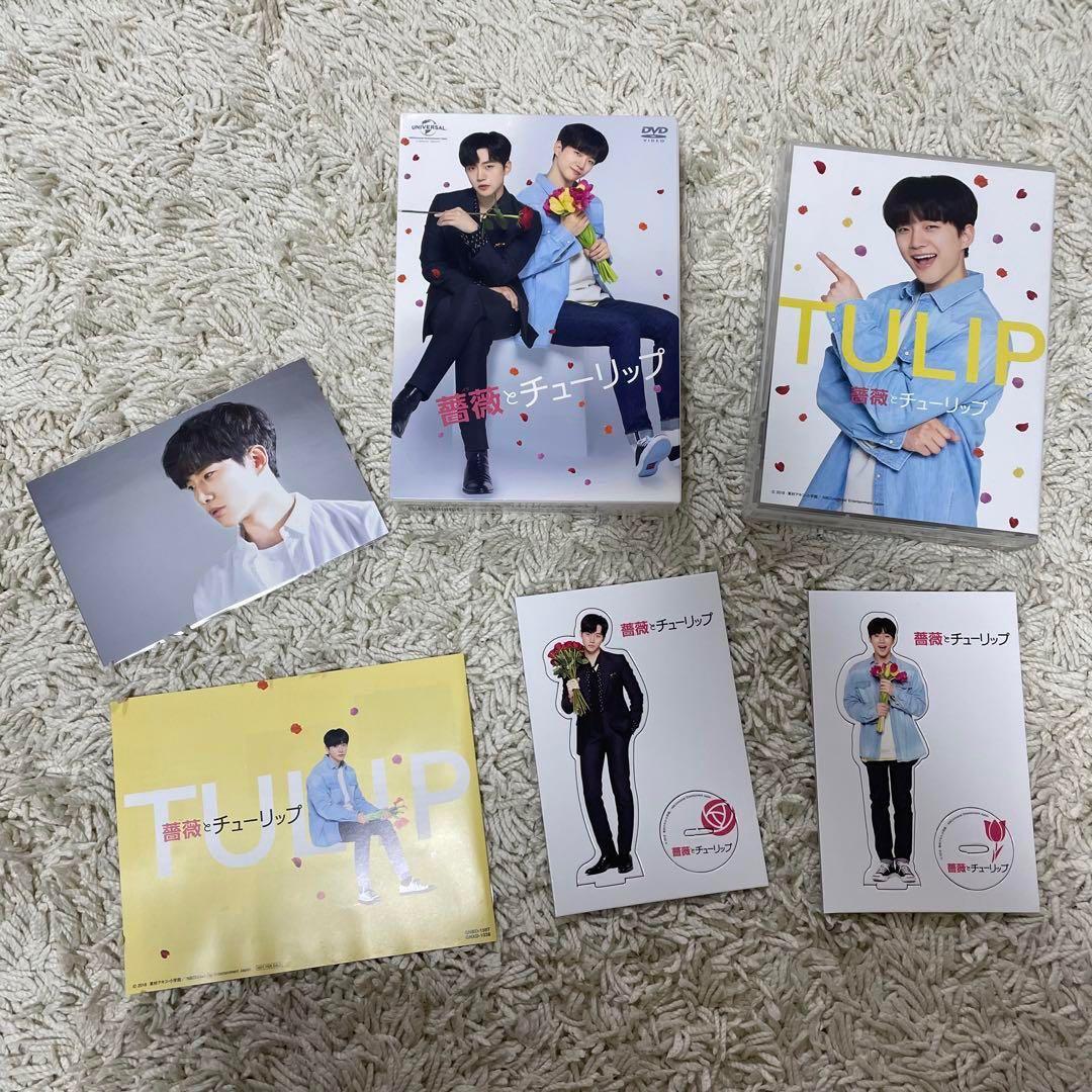 ROSE & TULIP DVD セット