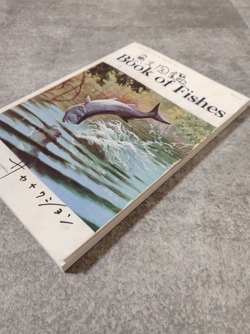 サカナクション　魚図鑑 完全生産限定盤 プレミアムBOX 魚大図鑑