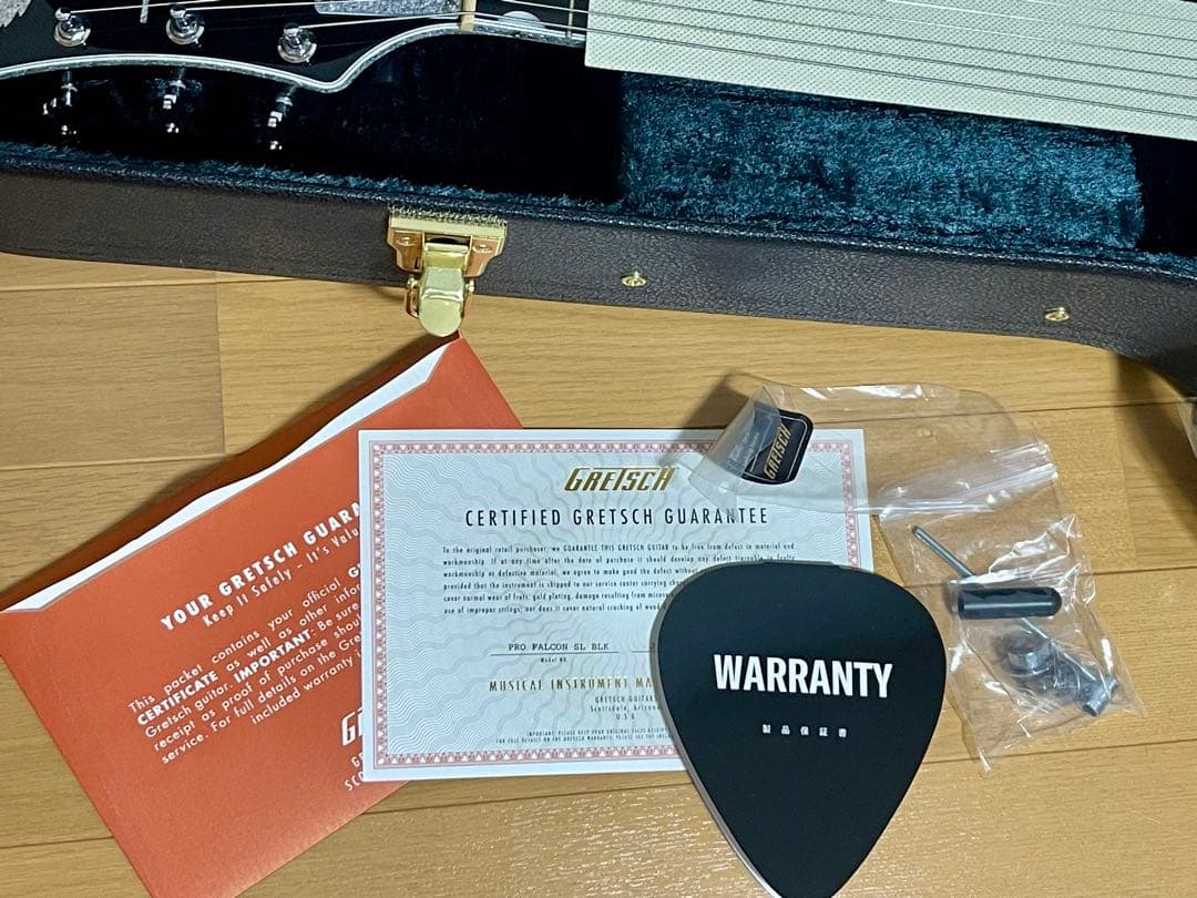 GRETSCH グレッチ シルバーファルコン プロ ファルコン