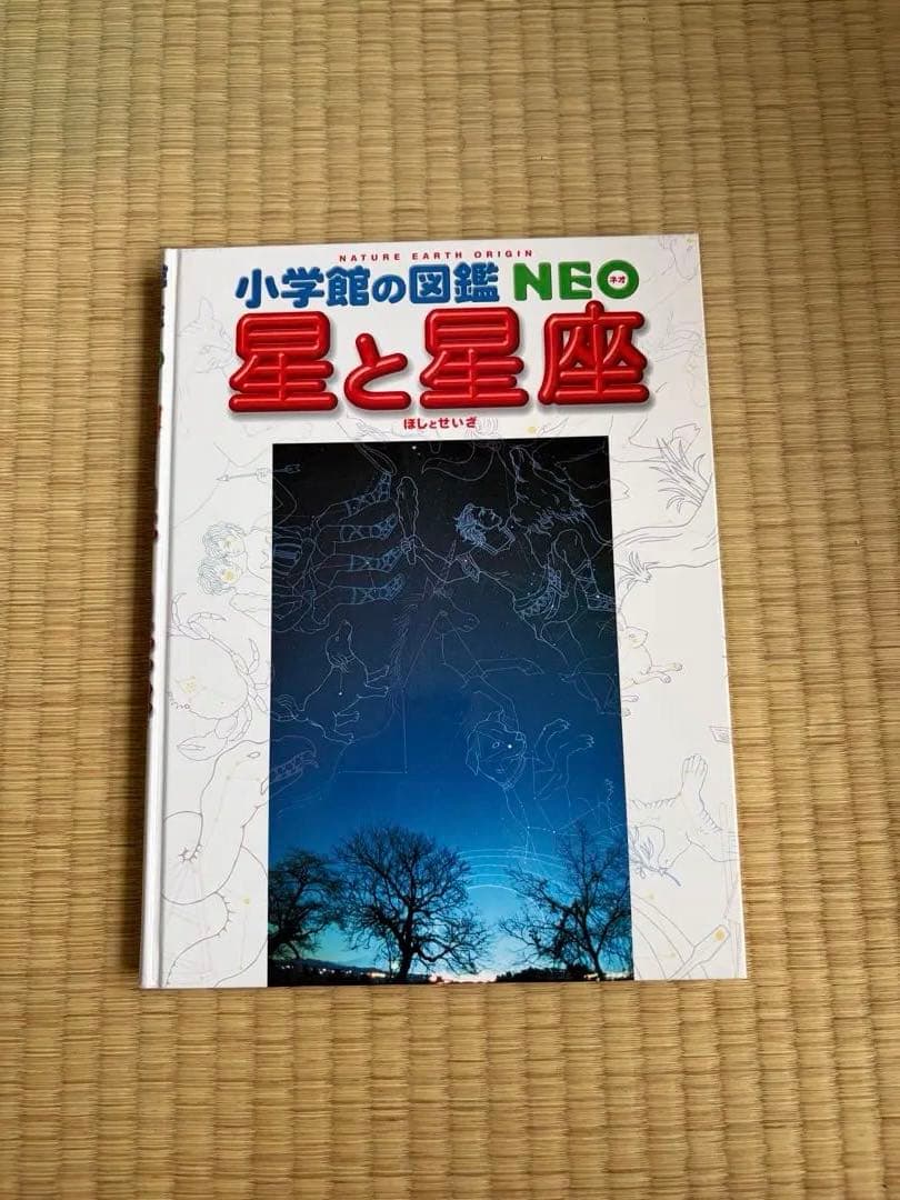 小学館の図鑑neo 12冊セット