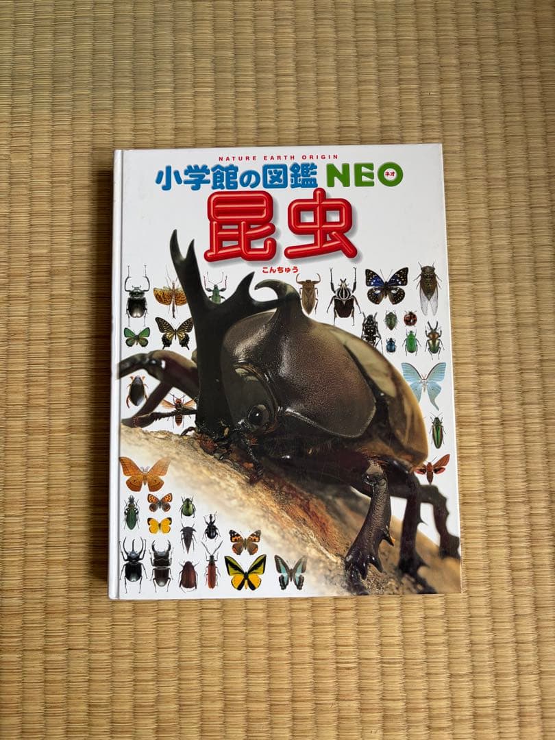 小学館の図鑑neo 12冊セット
