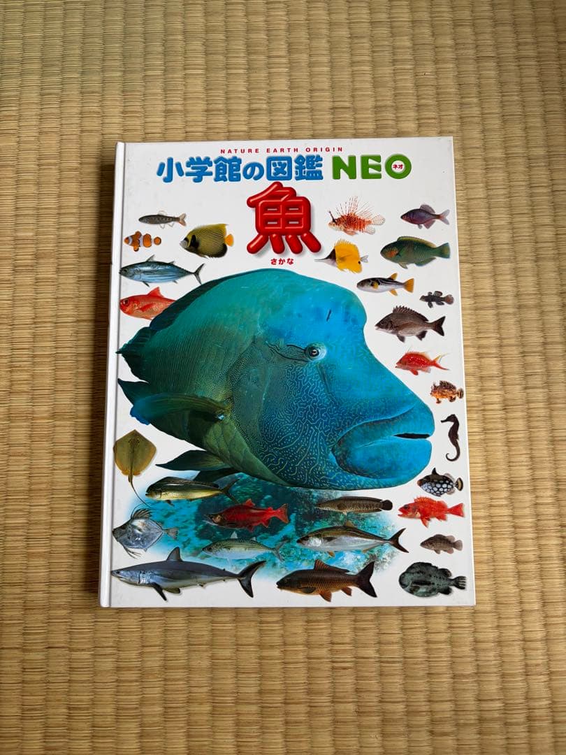小学館の図鑑neo 12冊セット