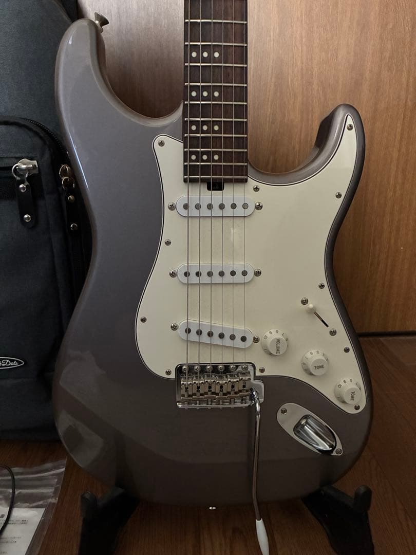 Three Dots Model/S DGM ストラト グレー