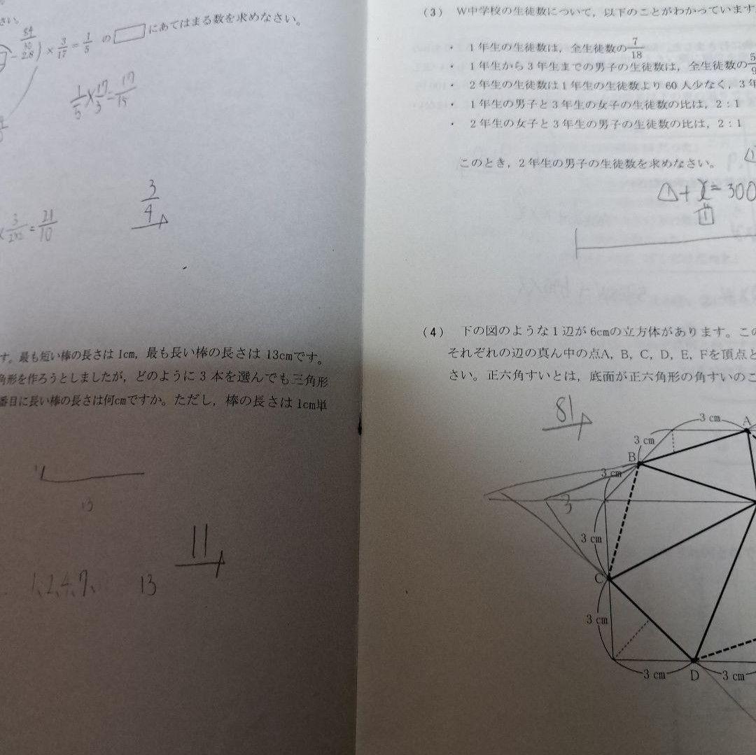 NN早稲田実業　学校別合格判定試験6回分・5本勝負テスト