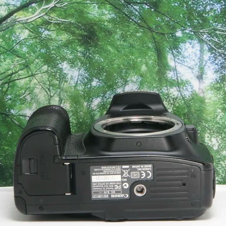 ❤️Canon EOS30D☆スマホ転送OK&高速連写!!付属品多数❤️