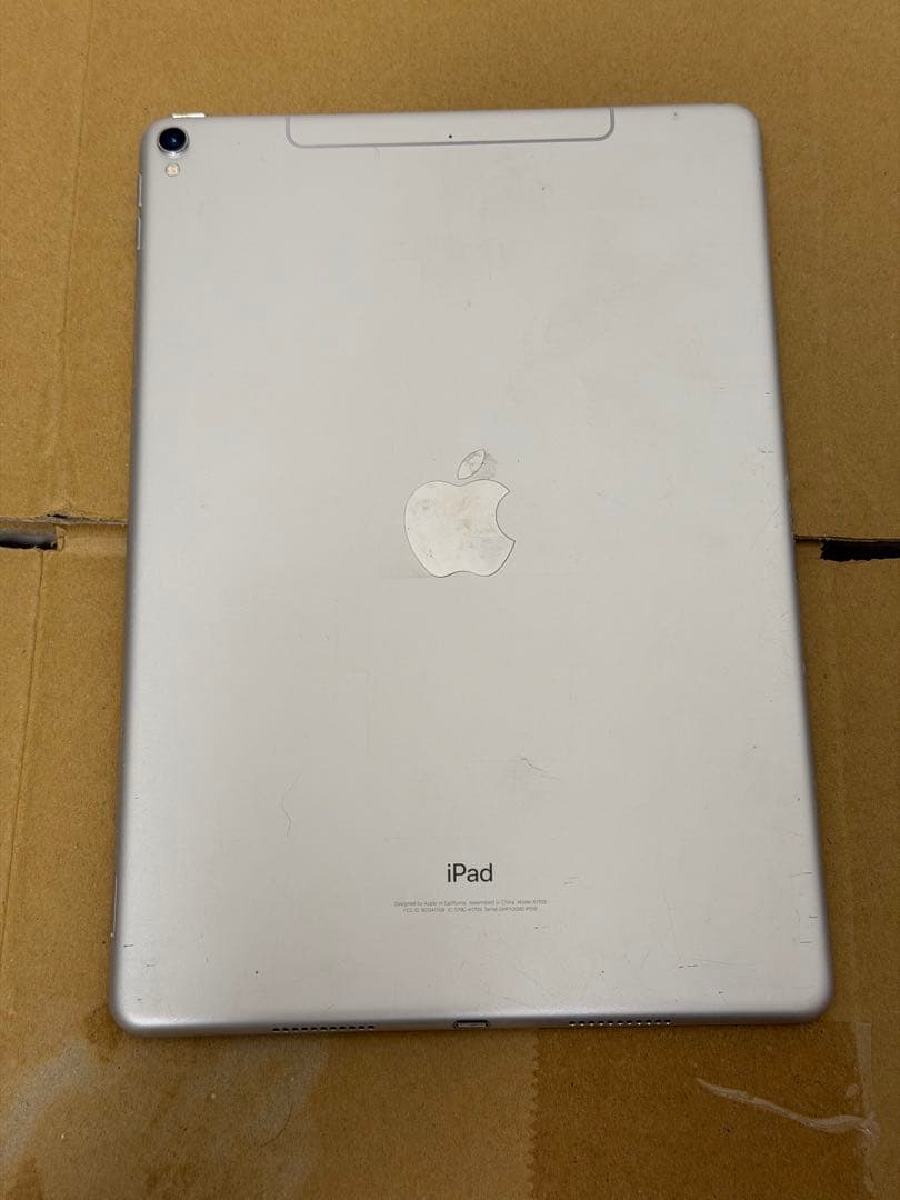 iPad Pro 10.5インチ シルバー 256GB 本体　忍び