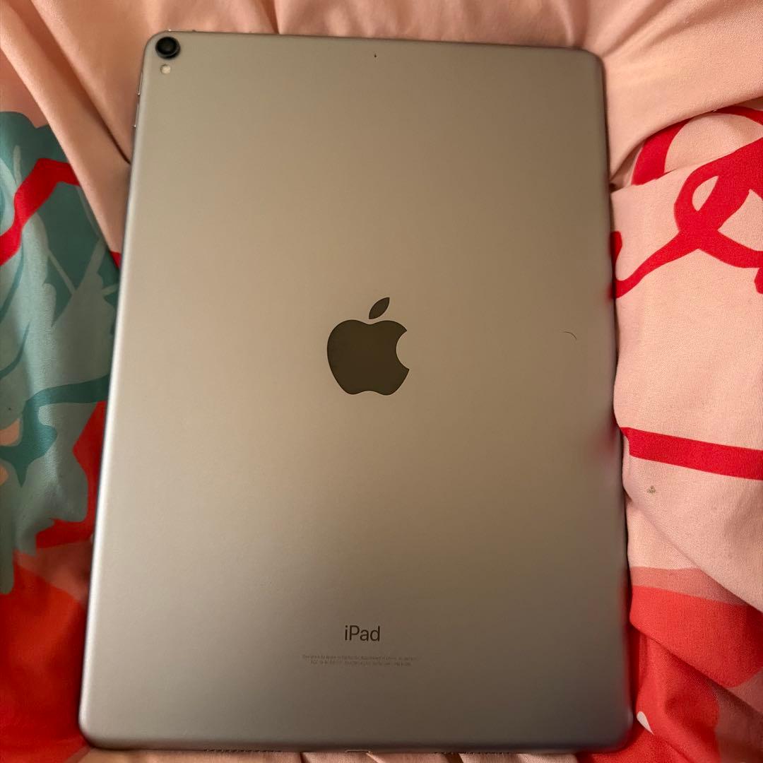 iPad本体 iPad pro 10.5 inch 120hz