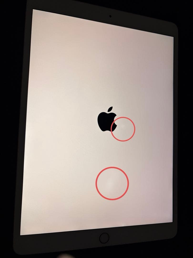 iPad本体 iPad Pro 10.5 512GB Wi-Fi Apple Pencil