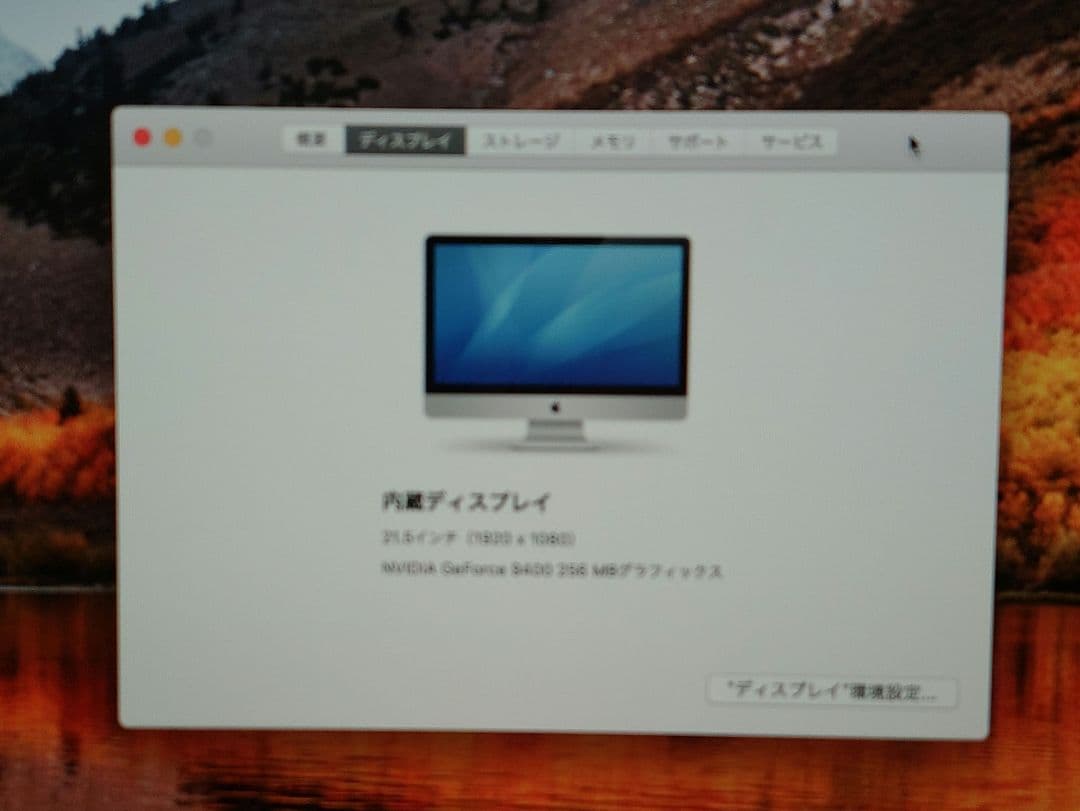 Apple iMac 21.5-inch Late 2009 メモリ16GB