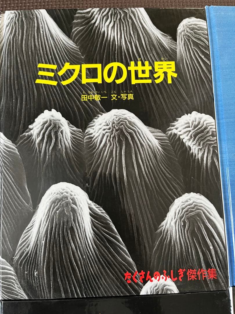 たくさんのふしぎ傑作集12冊セット