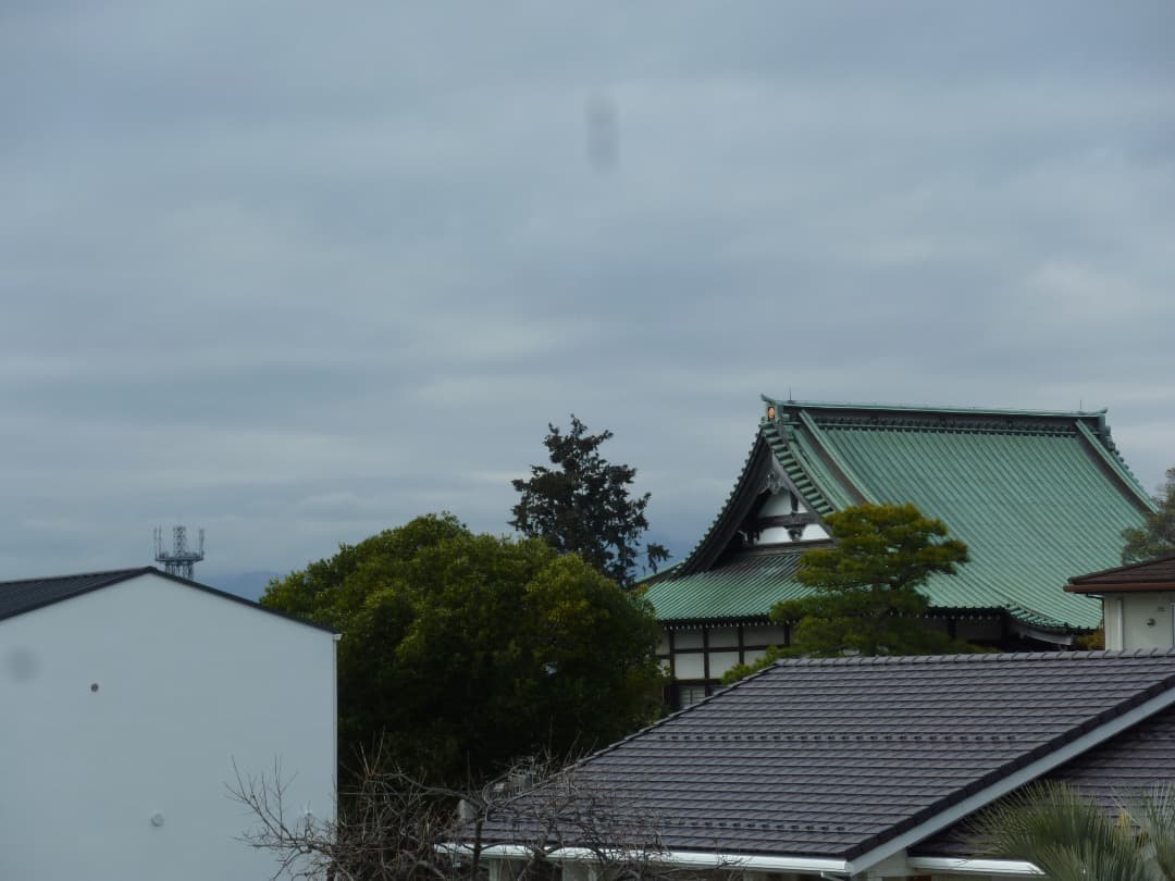 実写⭕️【動作確認済】Panasonic LUMIX DMC-ZX1