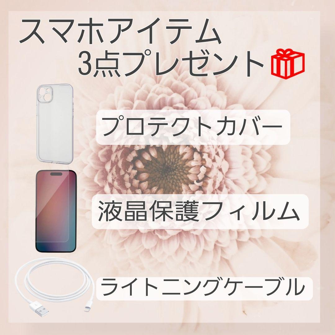 iPhone 12 256GB ブルー バッテリー新品100% 大容量