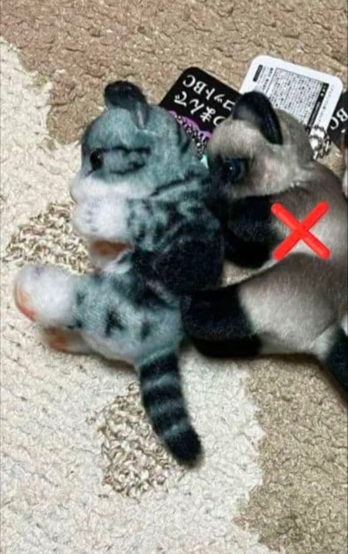 猫 つまんで マスコット ボールチェーン リアルアニマル とら猫 シャム猫