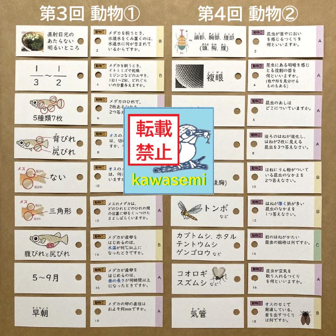 カット済【中学受験】理科の基本事項 知識編 理科 生物セット 暗記カードb