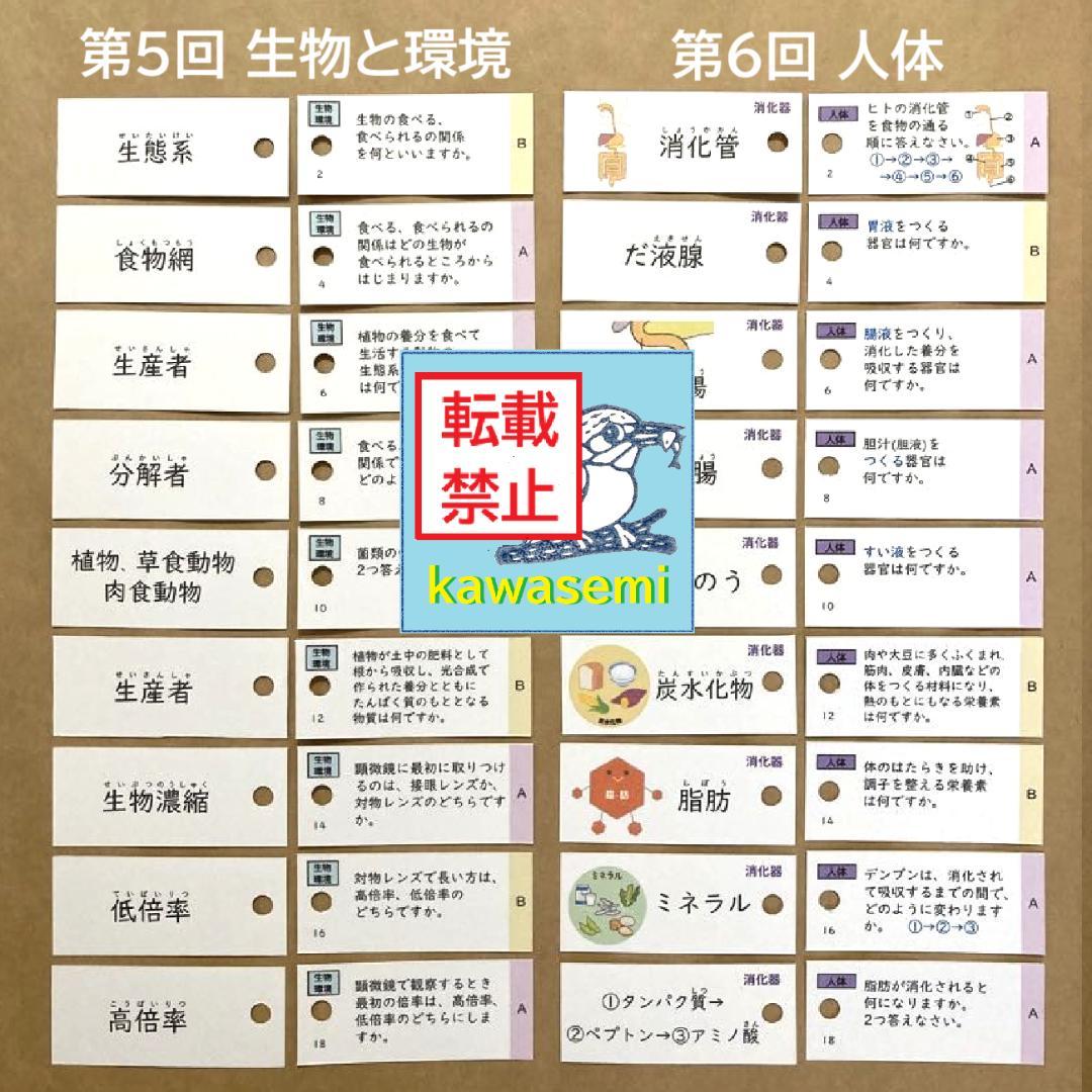 カット済【中学受験】理科の基本事項 知識編 理科 生物セット 暗記カードb
