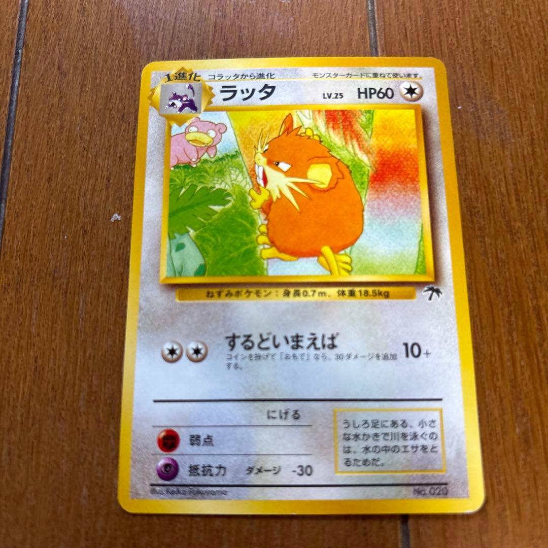 n*r様 旧裏ポケモンカード　サザンアイランド　川辺