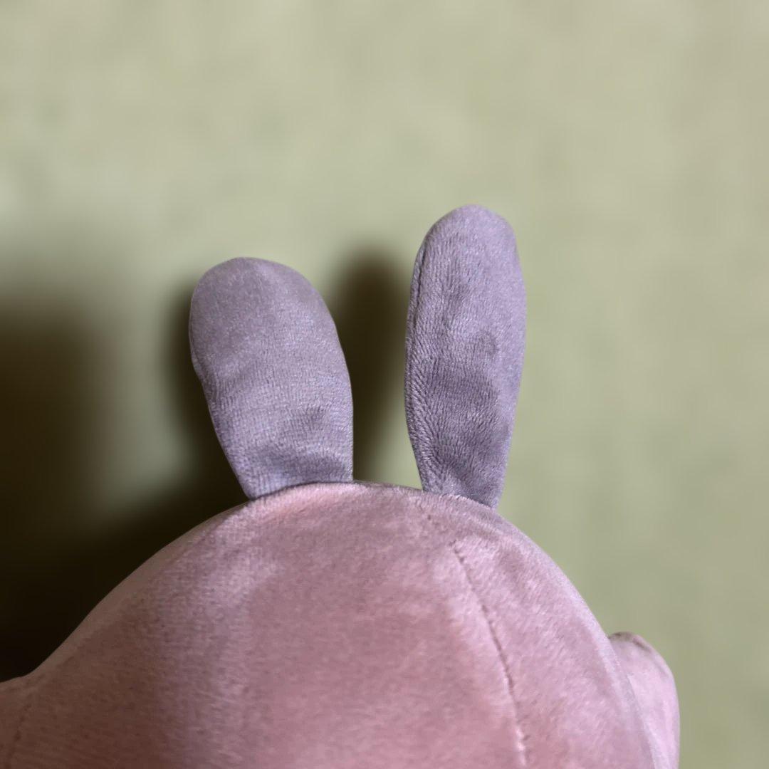 ポケモンセンターオリジナル　オタチ　ぬいぐるみ