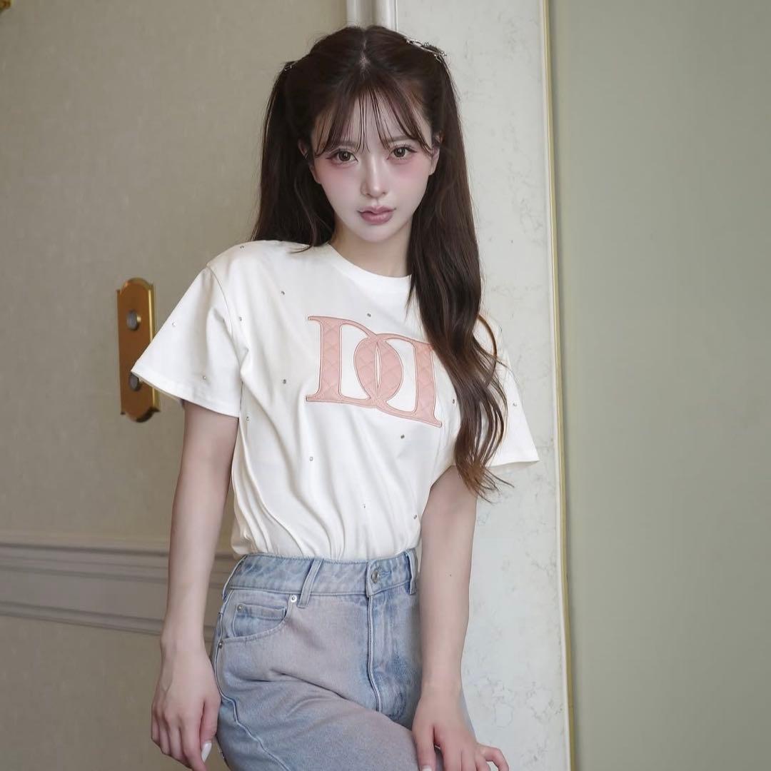 darich ダーリッチ Tシャツ ロゴ入り フリーサイズ