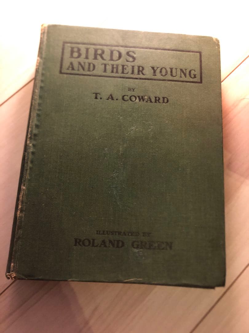 100年前の古書　希少　1923年　Birds and their young