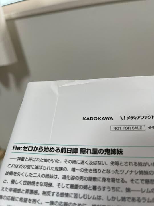Re:IFから始める異世界生活 未読　初回特典小説