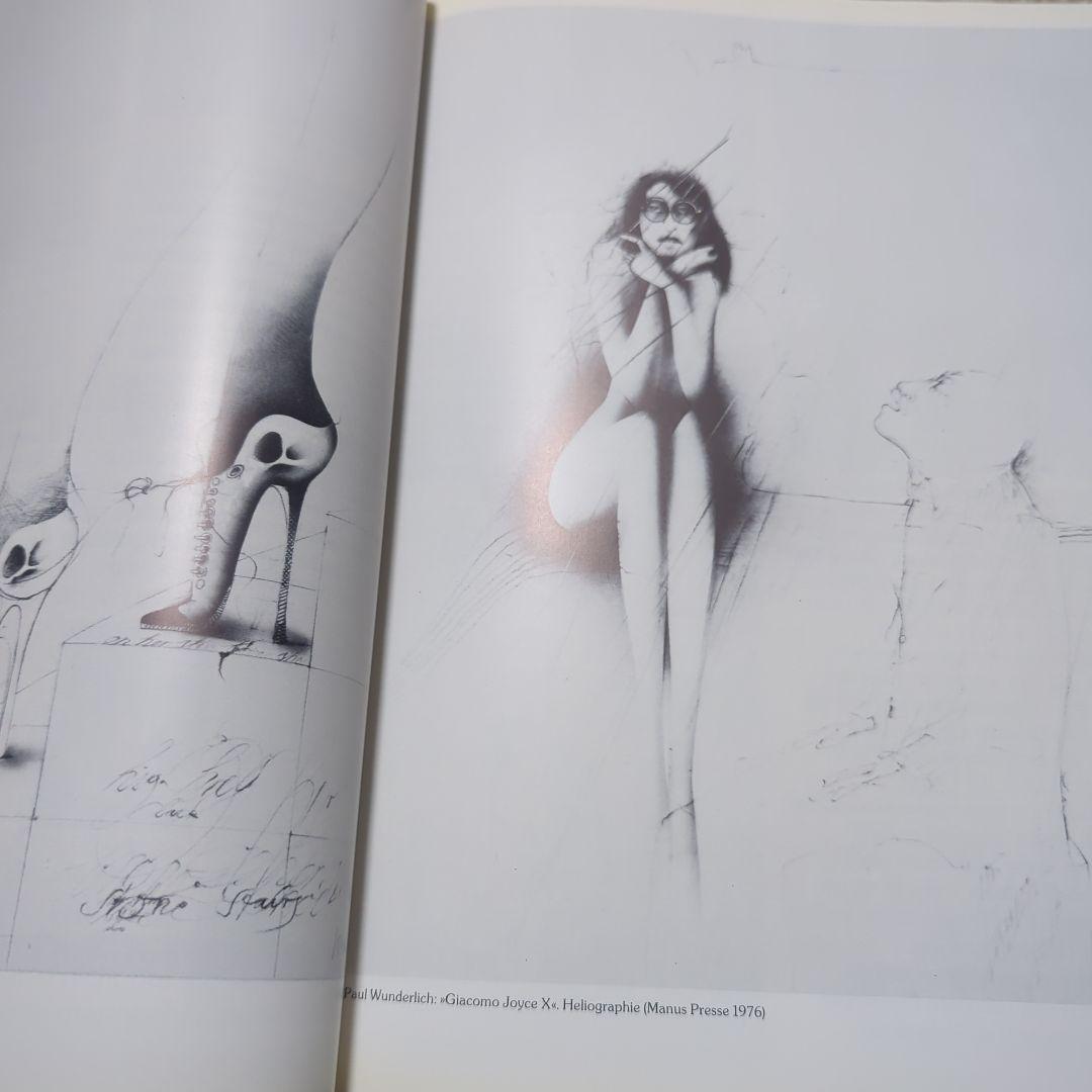 ハードカバー洋書　パウルヴンダーリッヒ　paul wunderlich