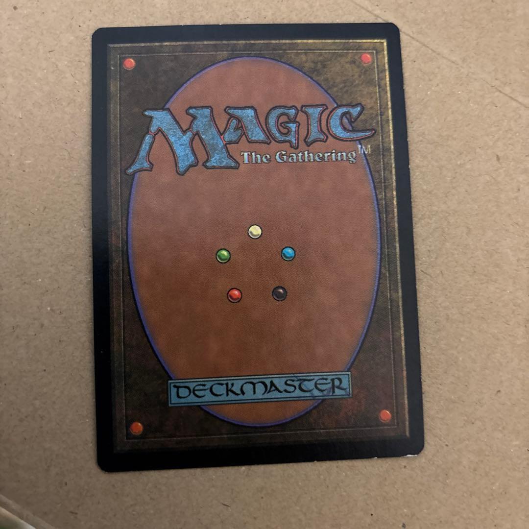 Plains/平地 APACランド ひまわり　マジックザギャザリング　Mtg