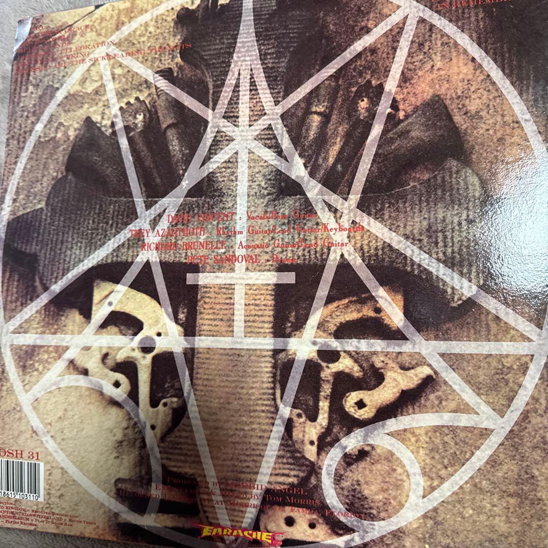 洋楽 Morbid Angel Blessed Are the Sick LP
