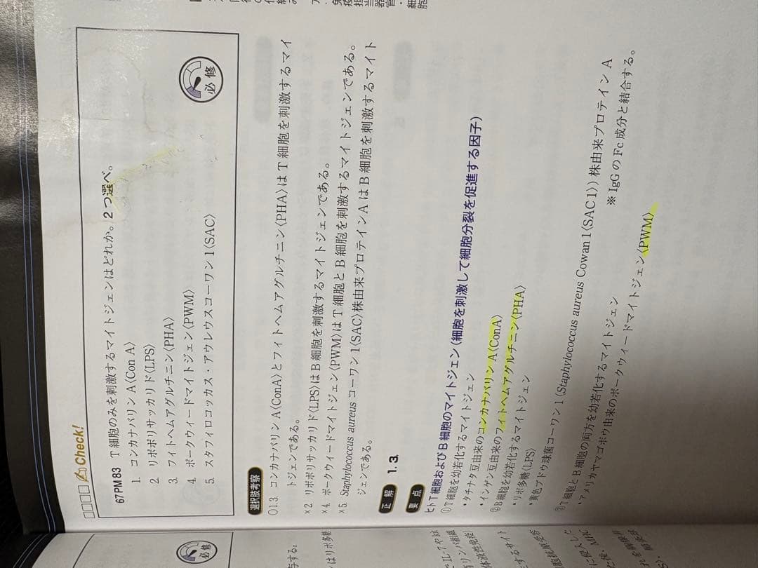 Complete MT 2025 全8巻セット
